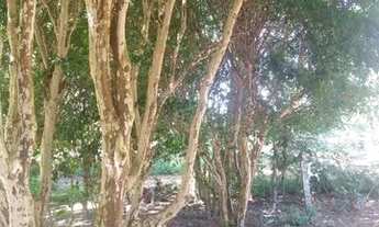 Imagem 2: Sustentabilidade aliada à tecnologia e facilidade! Terrenos 1000m2