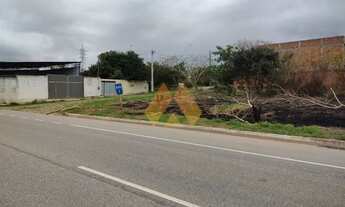 Imagem: Avenida Industrial