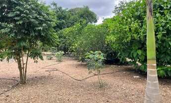 Imagem 7: Vendo Rancho em Corumbá 4 - Portal do Lago - Completo 2.500m2