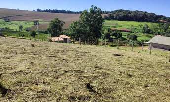 Imagem 5: Excelente terreno de 1000m2 em Pinhalzinho/SP