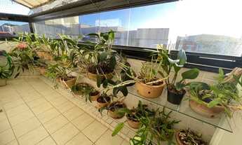 Imagem: Cobertura Linear Jardim da Penha