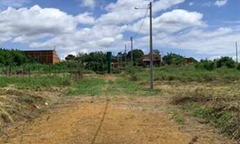 Imagem 5: Lote 26 de setembro