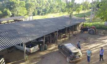 Imagem 6: Oportunidade! Fazenda De Eucalipto Ou Gado A Venda em Pirenópolis - Go
