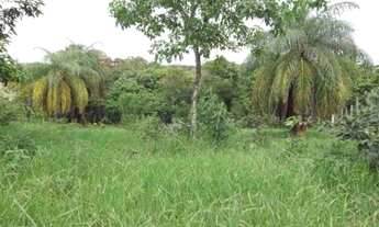 Imagem 3: Chácara de + ou - 1.100m² riacho nos fundos terra de cultivo Jaboticatubas