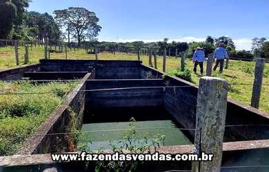 Imagem 7: Fazenda 25,5 alqueires (Corumbá de Goiás) com curral