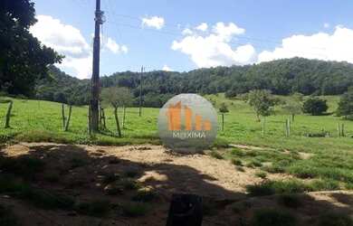 Imagem 6: Fazenda com 2 dormitórios à venda, 1548800 m² por R$ 6.400.000,00 - Zona Rural - Jesúpoli