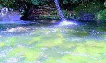 Imagem: Fins de semana na casa da Cachoeira no pé