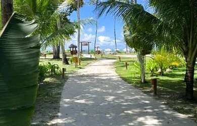 Imagem 6: Apartamento Linda vista do Mar Eco Resort Praia dos Carneiros 1 quarto 43m2