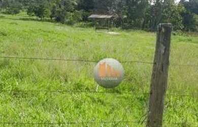 Imagem 2: Fazenda com 2 dormitórios à venda, 1548800 m² por R$ 6.400.000,00 - Zona Rural - Jesúpoli