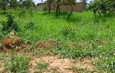 Imagem 6: Lote 437 m2 Terreno / lote com venda por R$50.000