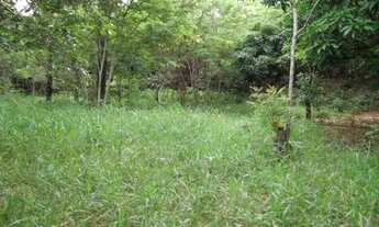 Imagem 5: Chácara de + ou - 1.100m² riacho nos fundos terra de cultivo Jaboticatubas