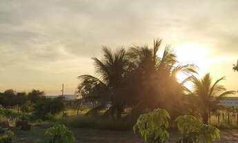 Imagem 2: Vende-se roça caatinguinha