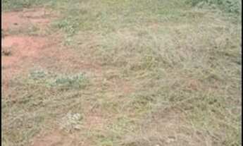 Imagem 2: Vende-se Terreno no Centro de Corguinho-MS