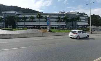 Imagem 7: Alugo Terreno aproximadamente 400 m2, SC 401, Trevo Cacupe