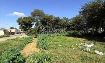 Imagem 5: Terreno com 456m² bairro canelas