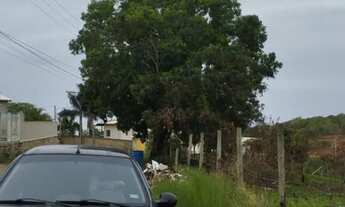 Imagem 3: 2 terrenos contínuos em lagoa do siri próximo a Rod. Do Sol