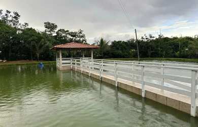 Imagem 6: Fazenda em São Miguel do Passa Quatro