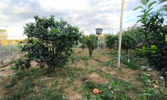 Imagem 7: Linda chácara escriturada