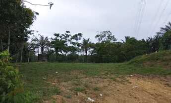 Imagem 7: VENDO TERRENO COM 81 MIL METROS NO DISTRITO 2