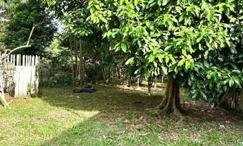 Imagem 2: Casa grande + sítio