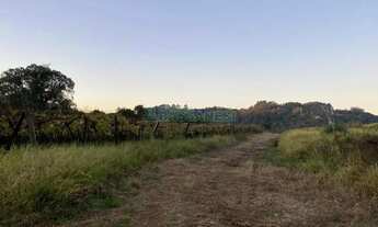 Imagem 7: Terreno Vila Lobos Caxias do Sul