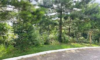 Imagem 4: Área de terra em Gramado