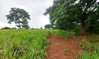 Imagem 3: TERRENO RURAL 50.000M2