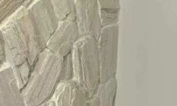 Imagem 4: Sol e Praia - Barra dos Coqueiros I SE [5589