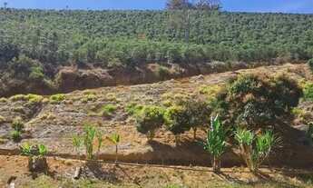 Imagem 7: Imóvel para venda com 92000 metros quadrados em Sao Tiago - Guaçuí - ES