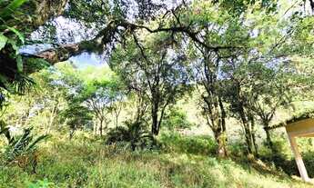 Imagem: Sítio / Chácara para Venda em Nova Petrópolis