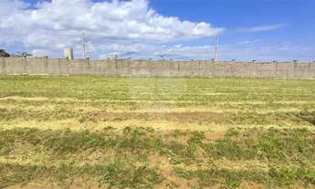 Imagem 2: Loteamento à venda em Loteamento Santa Maria Do Leme - SP