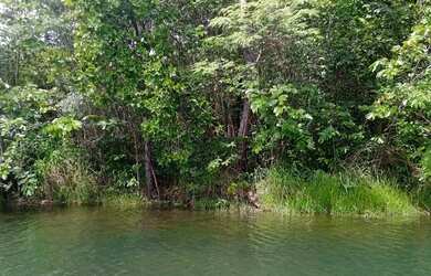 Imagem 7: Lote chácara Terreno / lote com venda por R$50.000