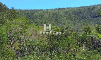 Imagem 7: Fazenda à venda em Niquelândia com 50 alqueires em Goiás