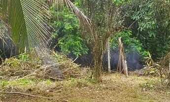 Imagem: Terreno em IRANDUBA
