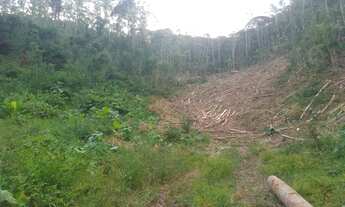 Imagem 5: Sítio marechal floriano 17 henquitares