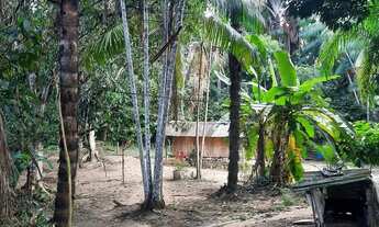 Imagem 2: Vendo um belo sítio am 010 beira da estrada informação * com igarape! E frutei