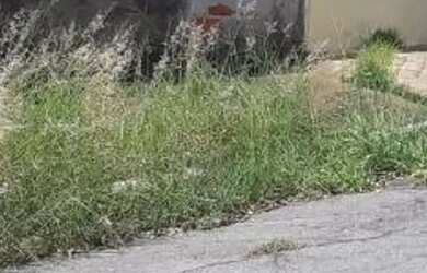 Imagem 2: Belo terreno no Adalgiza, com 250 metros, 10 x25, leve declive