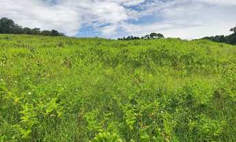 Imagem 5: Lotes de 500 a 1.000 m² em Ibiúna com potencial de valorização