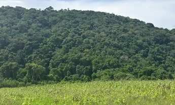 Imagem: Lotes de 500 m² a 1.000 m² para investimento