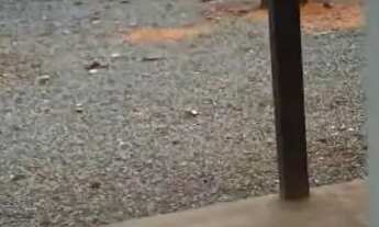 Imagem 7: Aluga-se casa no cidade satélite