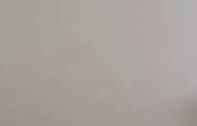 Imagem: Apartamento para aluguel, 2 quartos, 1 vaga