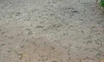 Imagem 6: VENDO TERRENO 50 MIL