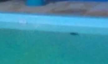 Imagem 3: Casa para o carnaval em caponga - 5 minutos de águas belas