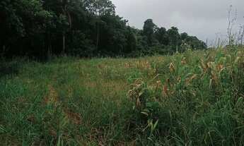 Imagem 7: Terrenos para venda tem 500 metros quadrados em Colégio - Ibiúna - SP