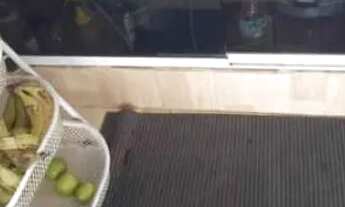 Imagem 7: Vendo toda mobilhada valor 200 mil reais não troco e nem vendo na avulso