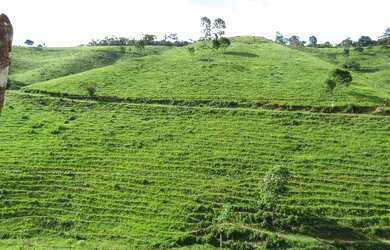 Imagem 8: Fazenda em Canhotinho Pe