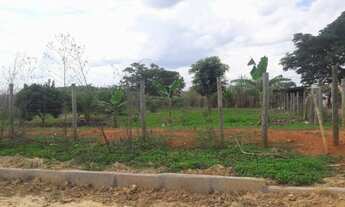 Imagem 2: Chacreamento Oasis Gv