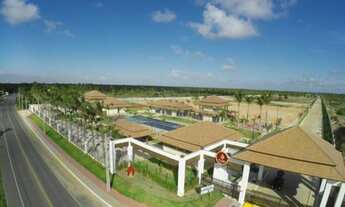 Imagem 2: Lote no Thai! Terreno / lote com venda por R$255.000