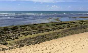 Imagem 4: Terreno para Venda em Mata de São João, Alphaville (Abrantes