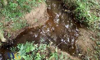 Imagem 4: Terreno Rural para Venda, Rodeio Chapada